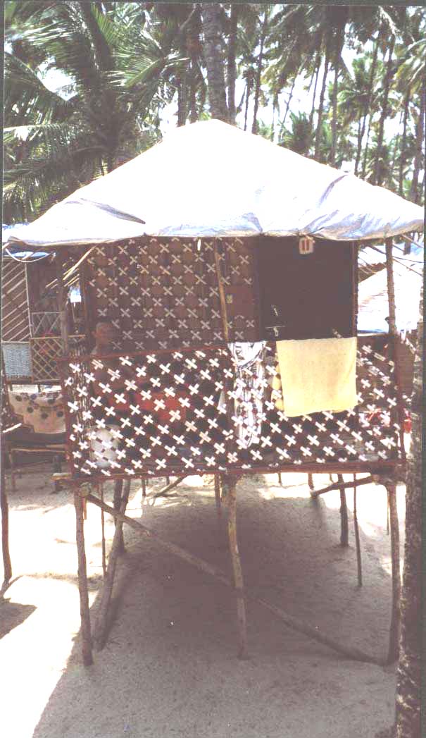 6a.jpg