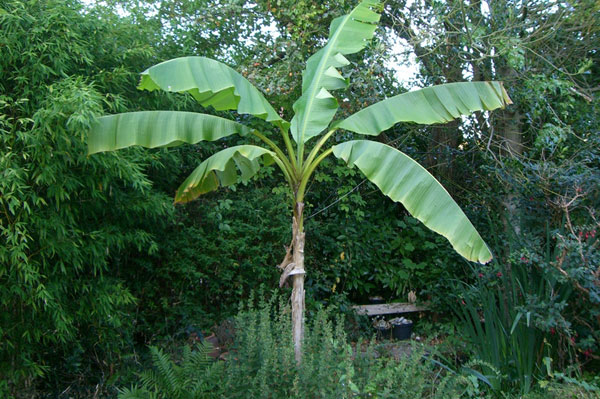 cimg0059.jpg
