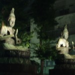 p1010129