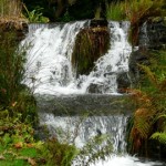 p1050865