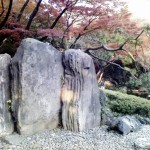 some nicely juxtaposed rocks and trees