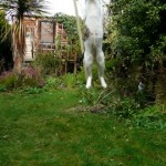 going for the high jump