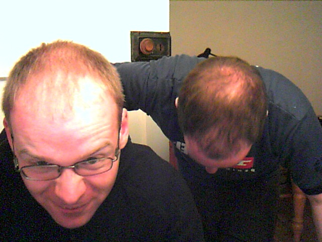 bald