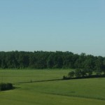 lush countryside