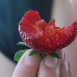 mmm tasty