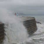 the cobb at lyme regis
