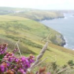 coastal walk to boscastle