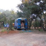 Alcazar camping