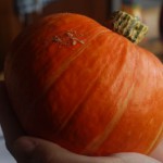 home produce