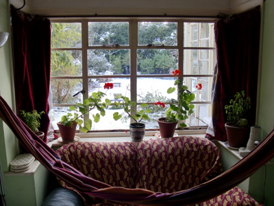 CIMG0007-1.JPG