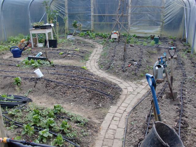 CIMG0143 (Small).JPG