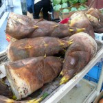 bamboo shoots