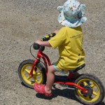 the pushbike