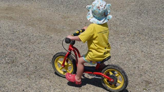 the pushbike