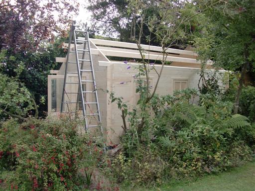 CIMG0569 (Custom).JPG