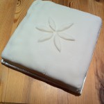 IMG_1490 iced christmas cake