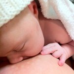 IMG_1561 IMG_1561