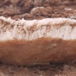 P1110739