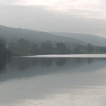 P1130334