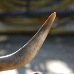 P1140086