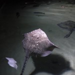 P1140768