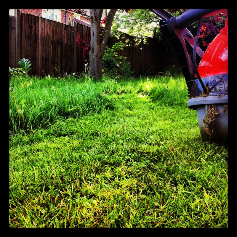 20120512-172123.jpg