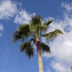 P1150550