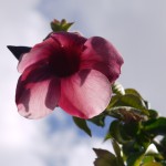 P1150891