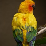 P1160296