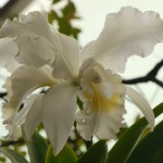P1160330